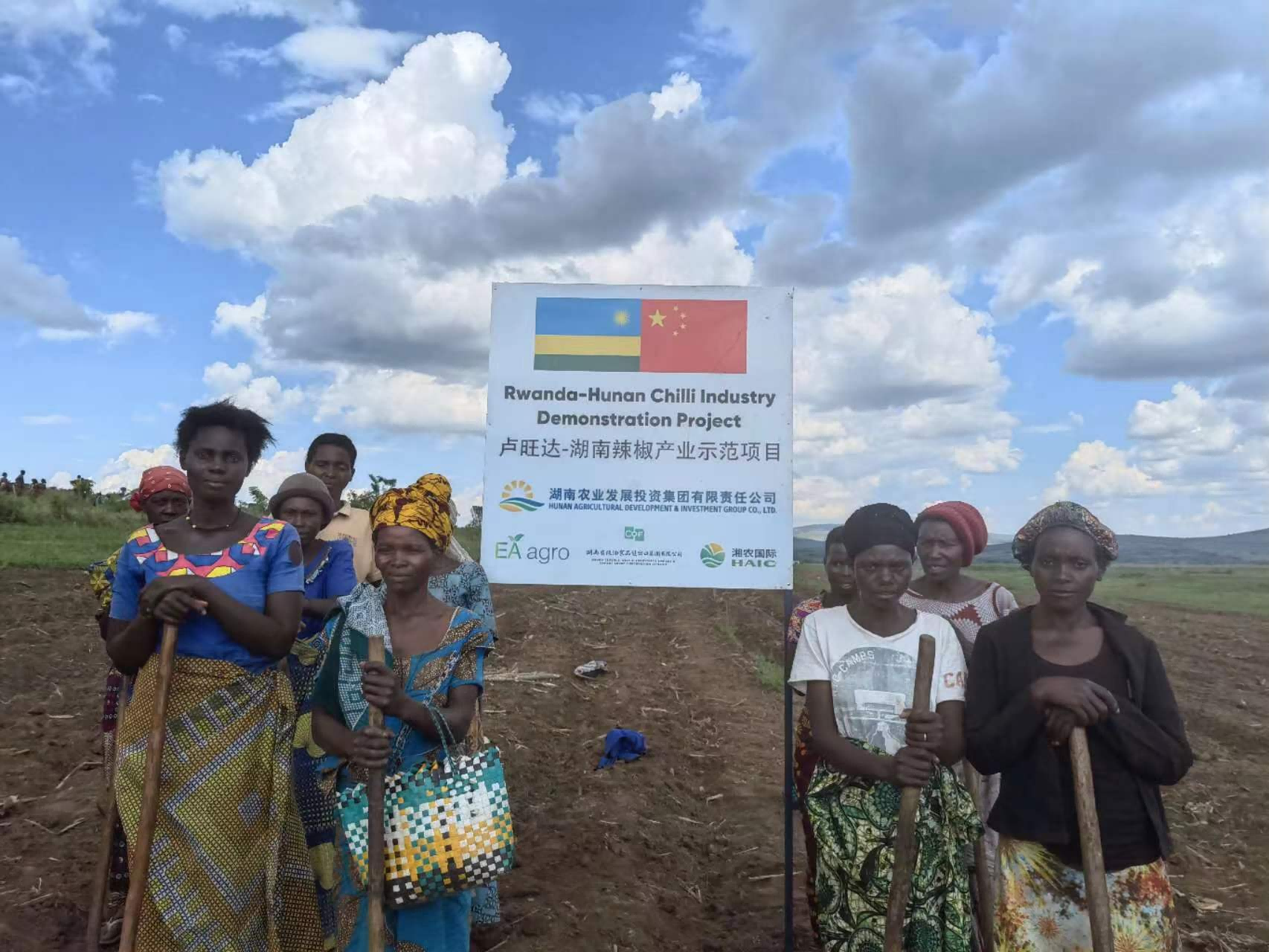 圖片 2.png 圖片 2.png